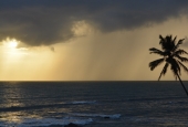 IIP Online Student Photography